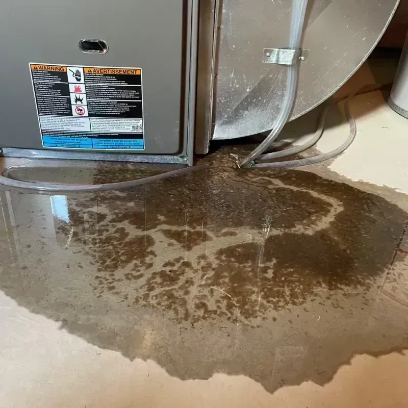 Appliance Leak Cleanup in Chester, WV